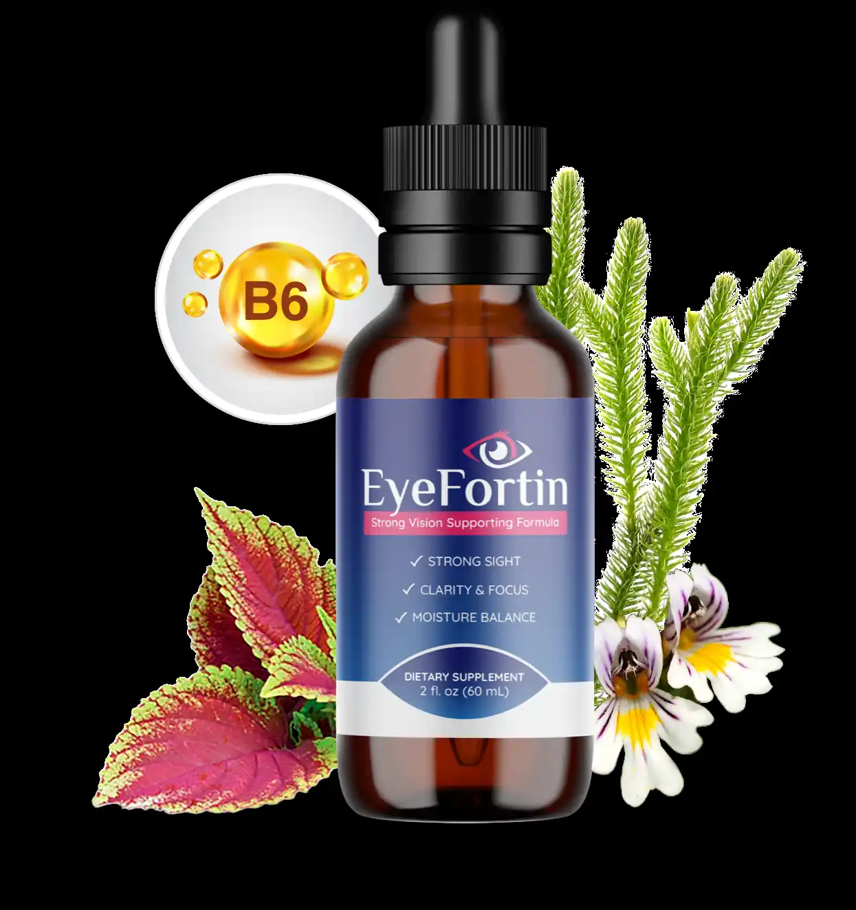 Eye Fortin logo - Australia
